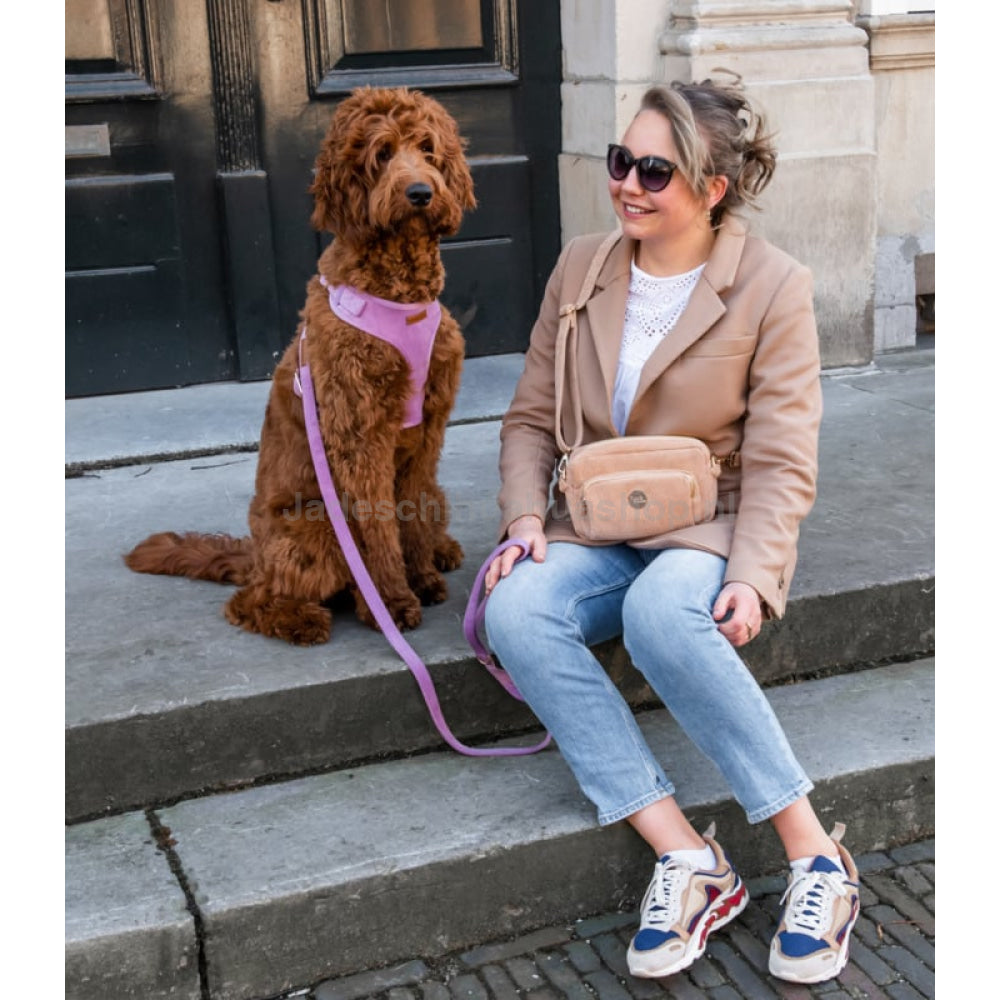 Floofs And Cookies - Fancy Dog Mom Bag Beige