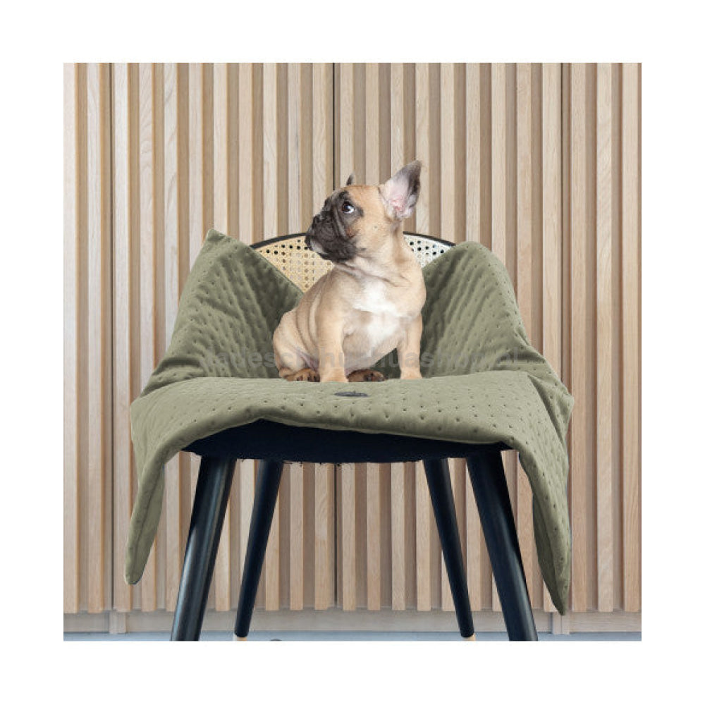 Milk&Pepper - Velvet Opera Plaid Khaki