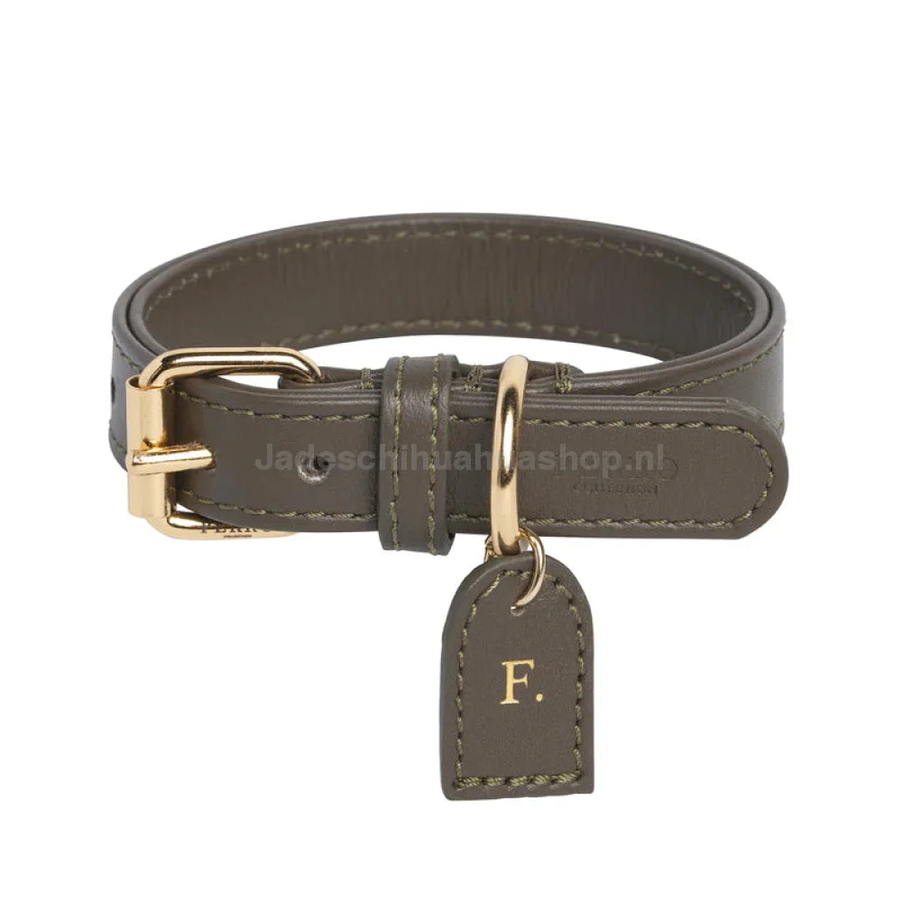 Perro Collection - Truffle Halsband