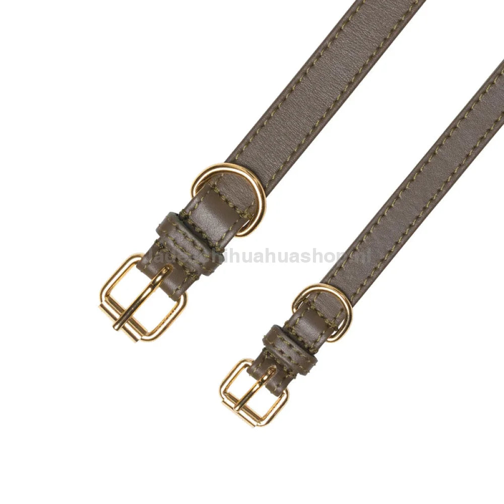 Perro Collection - Truffle Halsband