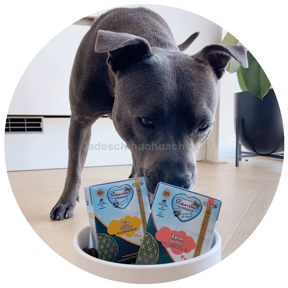 Renske - Kip Graanvrij