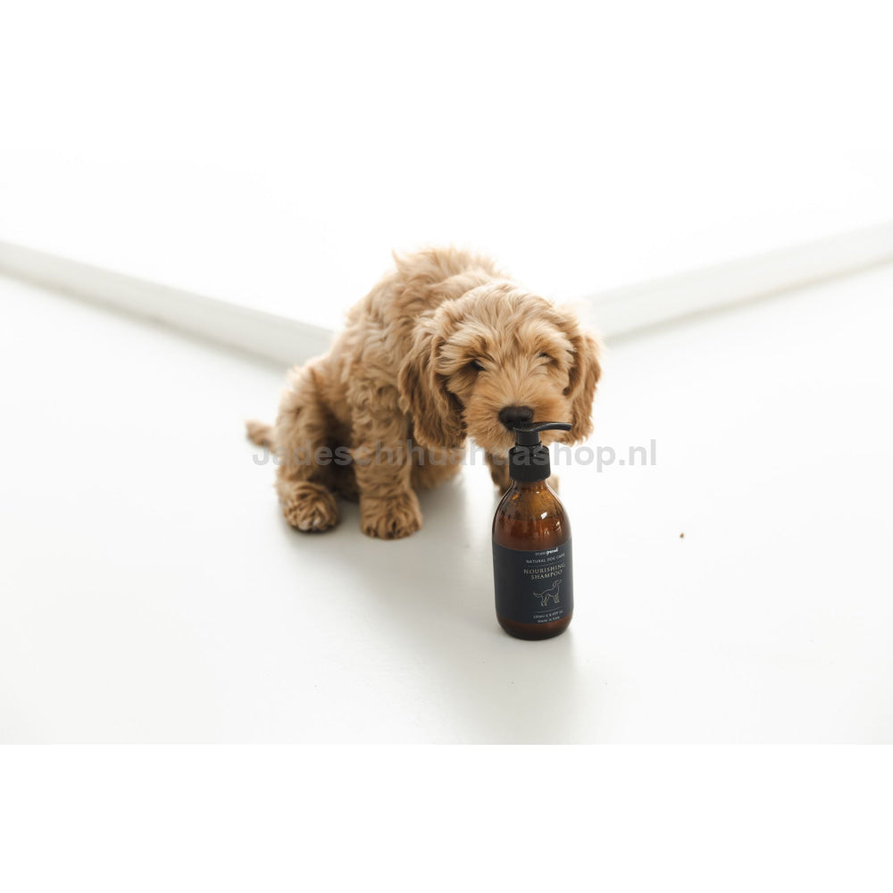 Studio Proud - Natuurlijke Hondenverzorging Voedende Shampoo